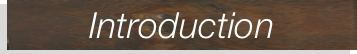 Introduction