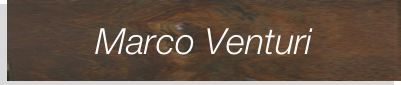 Marco Venturi    