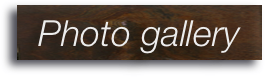 Photo gallery