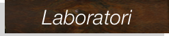 Laboratori